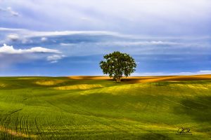 Solitude and Stillness