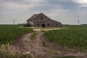 Rustic Architecture