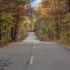 A winding road through a forest with colorful autumn foliage of red, yellow, and orange leaves