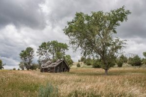 An old, dilapidated wooden cabin sits alone in a grassy field under a cloudy sky, surrounded by scattered trees.