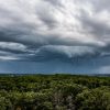 Dramatic storm clouds gathering over a lush green forest with distant horizon in view