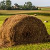 A large hay bale sits prominently in the foreground of a sunlit field, surrounded by rolling hills and trees in the background