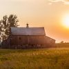A wooden barn in a field at sunset with the sun setting behind, casting a golden glow over the landscape