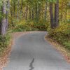 A winding road surrounded by autumn trees with colorful leaves in a forest