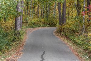 A winding road surrounded by autumn trees with colorful leaves in a forest