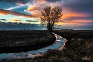 A solitary tree stands by a frozen creek under a vibrant twilight sky with hues of orange, pink, and blue. The water reflects the colorful sky amidst a barren landscape.
