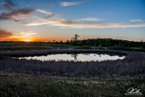A serene sunset over a small pond surrounded by tall grasses and distant trees.