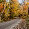 Curved dirt road surrounded by vibrant autumn trees with orange, yellow, and red leaves.