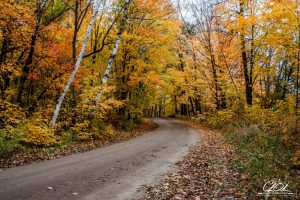 Curved dirt road surrounded by vibrant autumn trees with orange, yellow, and red leaves.