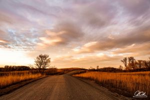 A winding dirt road through golden fields under a vibrant sky at sunset