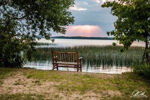A wooden bench facing a serene lake, framed by trees and reeds, with sunlight breaking through the clouds in the distance.