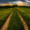 A narrow, grassy path stretching into lush green fields under a dramatic sky.