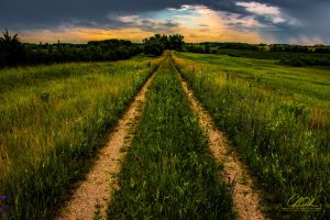 A narrow, grassy path stretching into lush green fields under a dramatic sky.