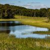 A serene pond with reflections of surrounding trees on a clear day.