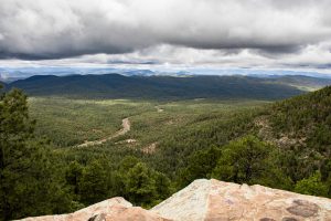 Expansive forest with distant mountains and dramatic clouds overhead