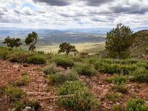 A landscape showing a rocky terrain with sparse green shrubs and trees, overlooking a vast expanse of rolling hills under a cloudy sky.