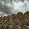 Stacked hay bales beneath dramatic storm clouds