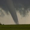 A powerful tornado funnel extends from dark storm clouds above a green field, with trees silhouetted on the horizon.