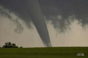 A powerful tornado funnel extends from dark storm clouds above a green field, with trees silhouetted on the horizon.