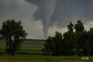 Tornado touching down on a green field framed by trees under a dark, stormy sky.
